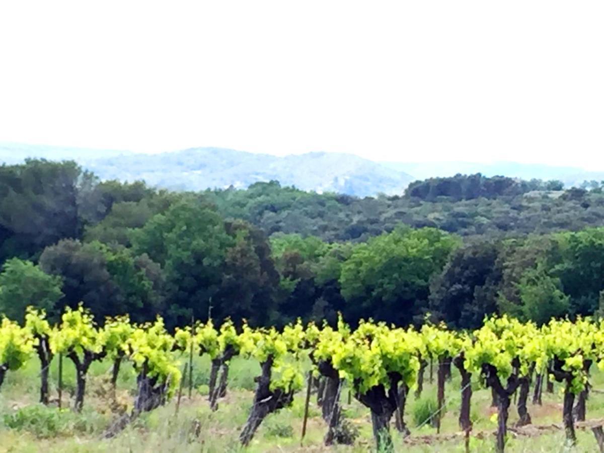 Le Clos Soleilhan Saint-Gervais  Exteriör bild